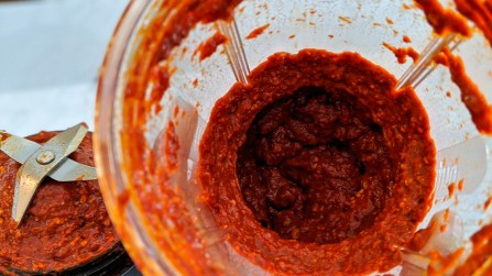 00100lrPORTRAIT_00100_BURST20200420135124405_COVER